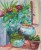 Solara Designs - Image 7
