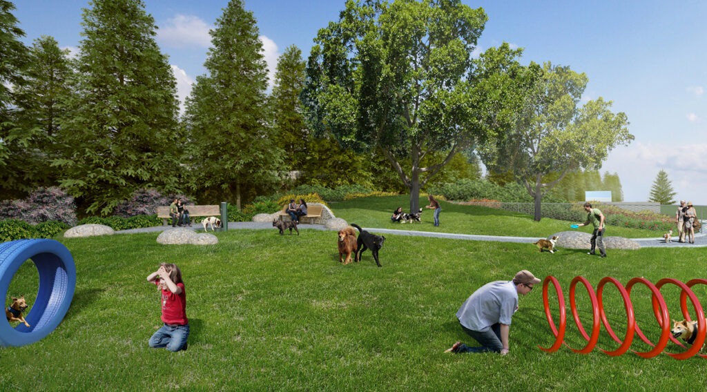 Dog park amenity rendering