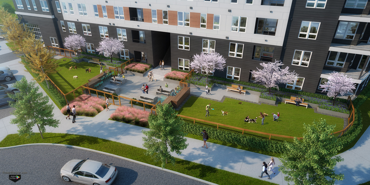 Novel Montford Park-Charlotte NC-KTGY-Cresent Communities-Dog Park