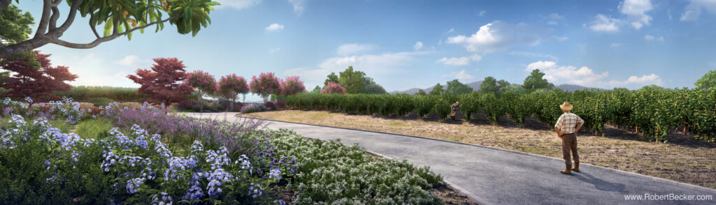 Ladera Winery landscape rendering. Napa, CA. osborn siegert architecture, llp